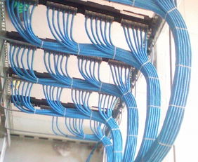 西湖區(qū)辦公室綜合布線指南 弱電、網(wǎng)線、強(qiáng)電與電話(huà)線的專(zhuān)業(yè)部署方案